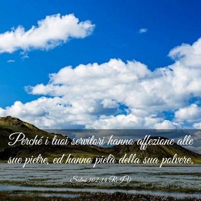 Picture 03 - Salmi 102:14 RIV - Perché i tuoi servitori hanno affezione alle sue - Bible Verse Picture