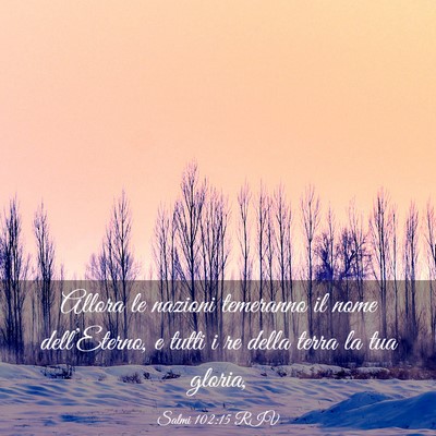 Picture 03 - Salmi 102:15 RIV - Allora le nazioni temeranno il nome - Bible Verse Picture