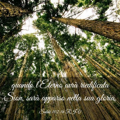 Picture 03 - Salmi 102:16 RIV - quando l’Eterno avrà riedificata Sion, sarà - Bible Verse Picture
