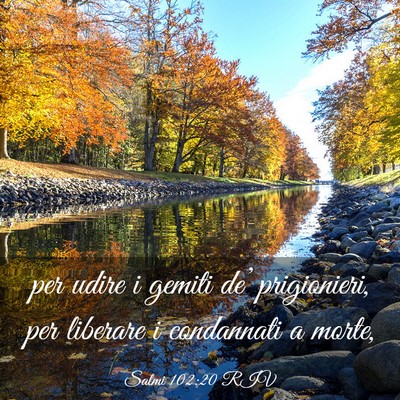 Picture 03 - Salmi 102:20 RIV - per udire i gemiti de’ prigionieri, per - Bible Verse Picture
