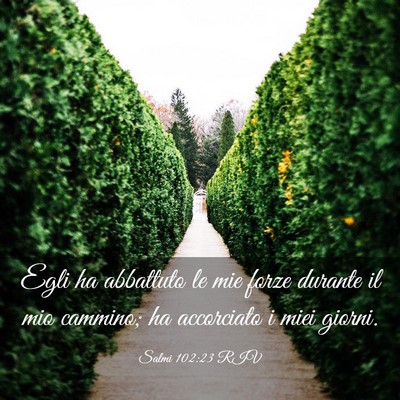 Picture 03 - Salmi 102:23 RIV - Egli ha abbattuto le mie forze durante il mio - Bible Verse Picture