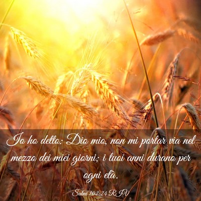 Picture 03 - Salmi 102:24 RIV - Io ho detto: Dio mio, non mi portar via nel mezzo - Bible Verse Picture