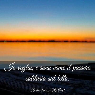 Picture 03 - Salmi 102:7 RIV - Io veglio, e sono come il passero solitario sul - Bible Verse Picture