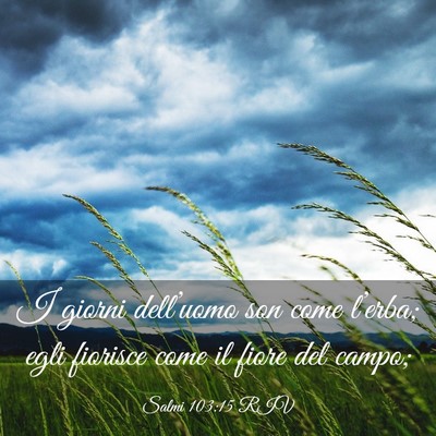 Picture 03 - Salmi 103:15 RIV - I giorni dell’uomo son come l’erba; egli - Bible Verse Picture