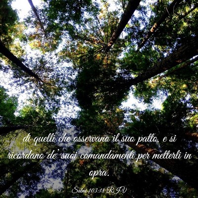 Picture 03 - Salmi 103:18 RIV - di quelli che osservano il suo patto, e si - Bible Verse Picture