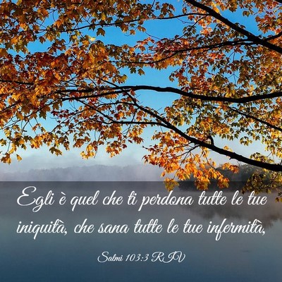 Picture 03 - Salmi 103:3 RIV - Egli è quel che ti perdona tutte le tue - Bible Verse Picture