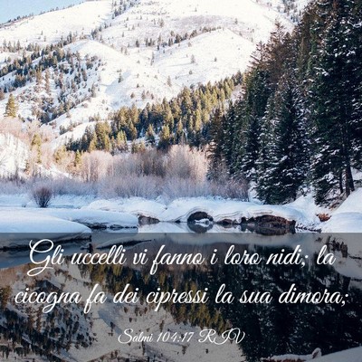Picture 03 - Salmi 104:17 RIV - Gli uccelli vi fanno i loro nidi; la cicogna fa - Bible Verse Picture