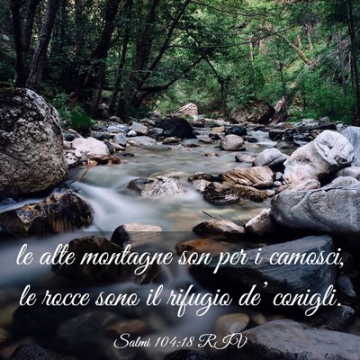 Picture 03 - Salmi 104:18 RIV - le alte montagne son per i camosci, le rocce sono - Bible Verse Picture