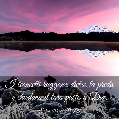 Picture 03 - Salmi 104:21 RIV - I leoncelli ruggono dietro la preda e chiedono il - Bible Verse Picture