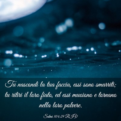 Picture 03 - Salmi 104:29 RIV - Tu nascondi la tua faccia, essi sono smarriti; tu - Bible Verse Picture