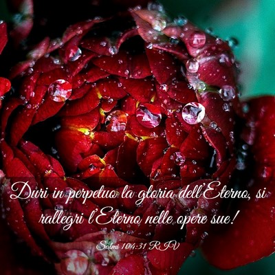 Picture 03 - Salmi 104:31 RIV - Duri in perpetuo la gloria dell’Eterno, si - Bible Verse Picture