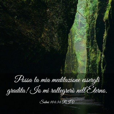 Picture 03 - Salmi 104:34 RIV - Possa la mia meditazione essergli gradita! Io mi - Bible Verse Picture