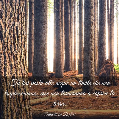 Picture 03 - Salmi 104:9 RIV - Tu hai posto alle acque un limite che non - Bible Verse Picture