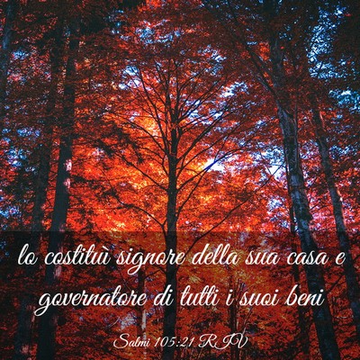 Picture 03 - Salmi 105:21 RIV - lo costituì signore della sua casa e governatore - Bible Verse Picture