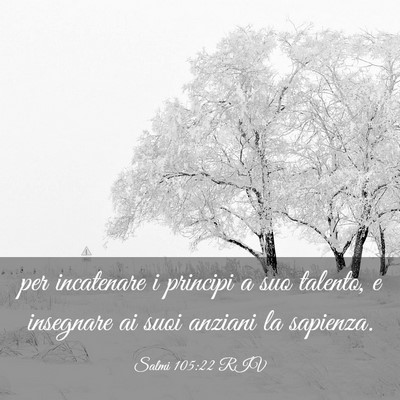 Picture 03 - Salmi 105:22 RIV - per incatenare i principi a suo talento, e - Bible Verse Picture