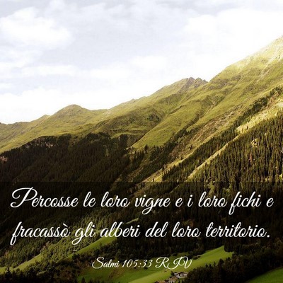 Picture 03 - Salmi 105:33 RIV - Percosse le loro vigne e i loro fichi e fracassò - Bible Verse Picture