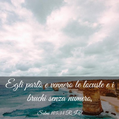 Picture 03 - Salmi 105:34 RIV - Egli parlò e vennero le locuste e i bruchi senza - Bible Verse Picture