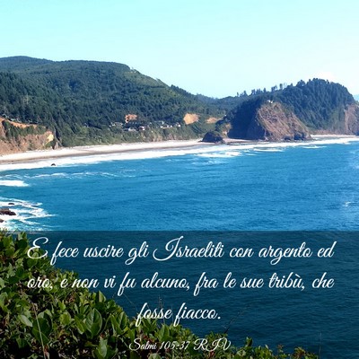 Picture 03 - Salmi 105:37 RIV - E fece uscire gli Israeliti con argento ed oro, e - Bible Verse Picture