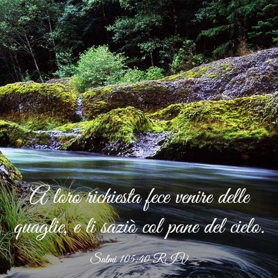 Picture 03 - Salmi 105:40 RIV - A loro richiesta fece venire delle quaglie, e li - Bible Verse Picture