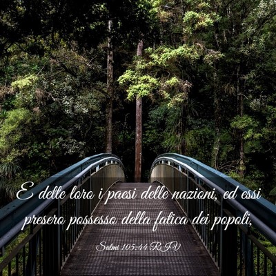 Picture 03 - Salmi 105:44 RIV - E dette loro i paesi delle nazioni, ed essi - Bible Verse Picture