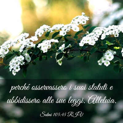 Picture 03 - Salmi 105:45 RIV - perché osservassero i suoi statuti e ubbidissero - Bible Verse Picture