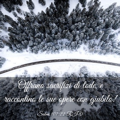Picture 03 - Salmi 107:22 RIV - Offrano sacrifizi di lode, e raccontino le sue - Bible Verse Picture