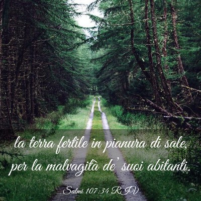 Picture 03 - Salmi 107:34 RIV - la terra fertile in pianura di sale, per la - Bible Verse Picture