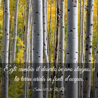 Picture 03 - Salmi 107:35 RIV - Egli cambia il deserto in uno stagno, e la terra - Bible Verse Picture