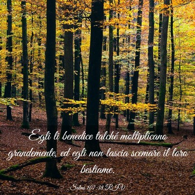 Picture 03 - Salmi 107:38 RIV - Egli li benedice talché moltiplicano - Bible Verse Picture