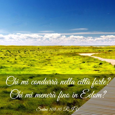 Picture 03 - Salmi 108:10 RIV - Chi mi condurrà nella città forte? Chi mi - Bible Verse Picture