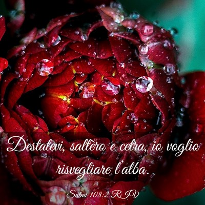 Picture 03 - Salmi 108:2 RIV - Destatevi, saltèro e cetra, io voglio - Bible Verse Picture