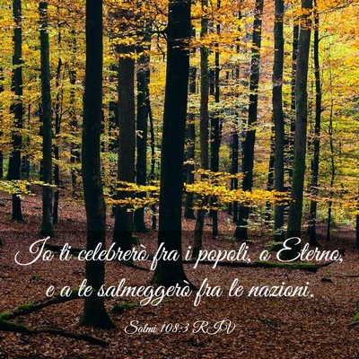 Picture 03 - Salmi 108:3 RIV - Io ti celebrerò fra i popoli, o Eterno, e a te - Bible Verse Picture