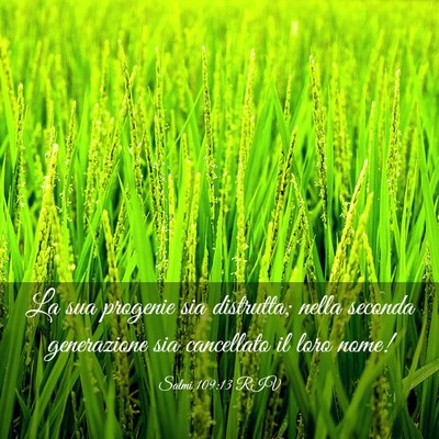 Picture 03 - Salmi 109:13 RIV - La sua progenie sia distrutta; nella seconda - Bible Verse Picture