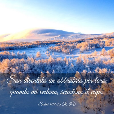 Picture 03 - Salmi 109:25 RIV - Son diventato un obbrobrio per loro; quando mi - Bible Verse Picture