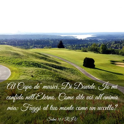 Picture 03 - Salmi 11:1 RIV - Al Capo de’ musici. Di Davide. Io mi confido - Bible Verse Picture