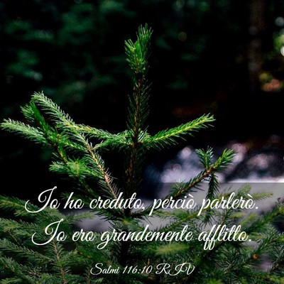 Picture 03 - Salmi 116:10 RIV - Io ho creduto, perciò parlerò. Io ero - Bible Verse Picture