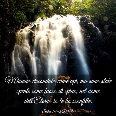 Picture 03 - Salmi 118:12 RIV - M’hanno circondato come api, ma sono state - Bible Verse Picture