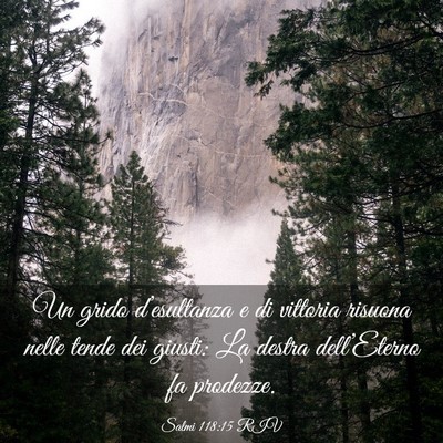Picture 03 - Salmi 118:15 RIV - Un grido d’esultanza e di vittoria risuona - Bible Verse Picture