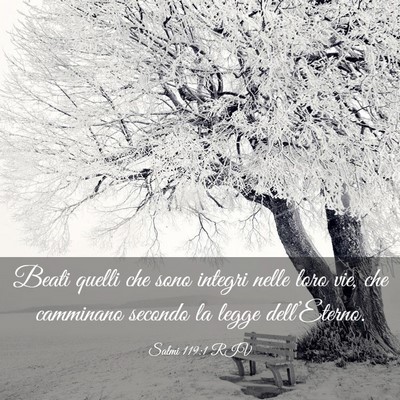 Picture 03 - Salmi 119:1 RIV - Beati quelli che sono integri nelle loro vie, che - Bible Verse Picture