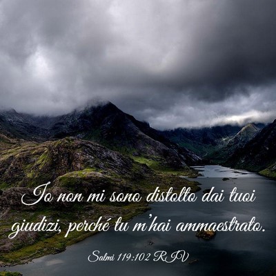 Picture 03 - Salmi 119:102 RIV - Io non mi sono distolto dai tuoi giudizi, perché - Bible Verse Picture