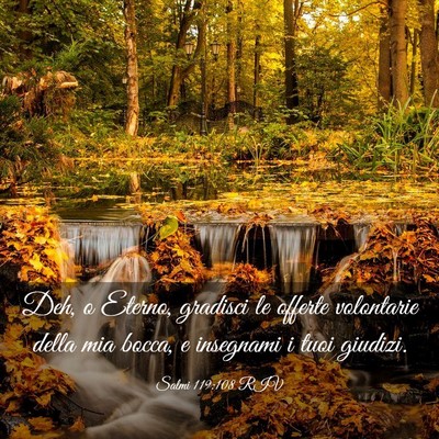 Picture 03 - Salmi 119:108 RIV - Deh, o Eterno, gradisci le offerte volontarie - Bible Verse Picture