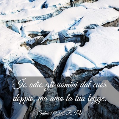Picture 03 - Salmi 119:113 RIV - Io odio gli uomini dal cuor doppio, ma amo la tua - Bible Verse Picture