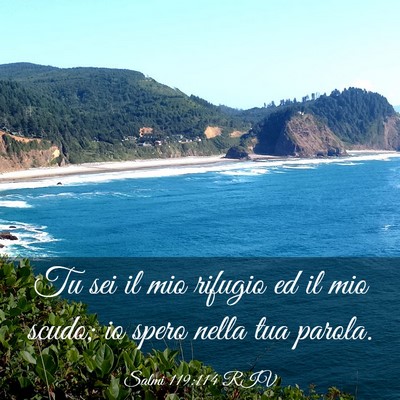 Picture 03 - Salmi 119:114 RIV - Tu sei il mio rifugio ed il mio scudo; io spero - Bible Verse Picture