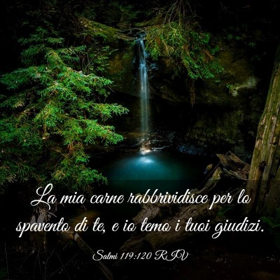 Picture 03 - Salmi 119:120 RIV - La mia carne rabbrividisce per lo spavento di te, - Bible Verse Picture