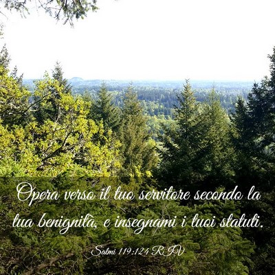 Picture 03 - Salmi 119:124 RIV - Opera verso il tuo servitore secondo la tua - Bible Verse Picture