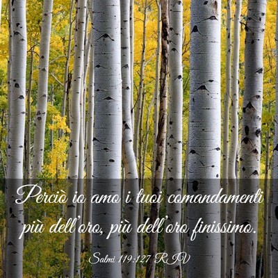 Picture 03 - Salmi 119:127 RIV - Perciò io amo i tuoi comandamenti più - Bible Verse Picture