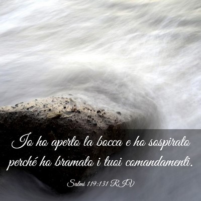 Picture 03 - Salmi 119:131 RIV - Io ho aperto la bocca e ho sospirato perché ho - Bible Verse Picture