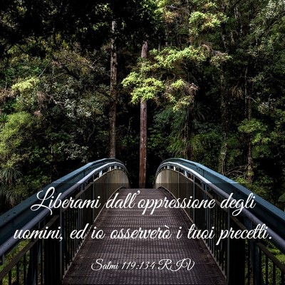 Picture 03 - Salmi 119:134 RIV - Liberami dall’oppressione degli uomini, ed io - Bible Verse Picture