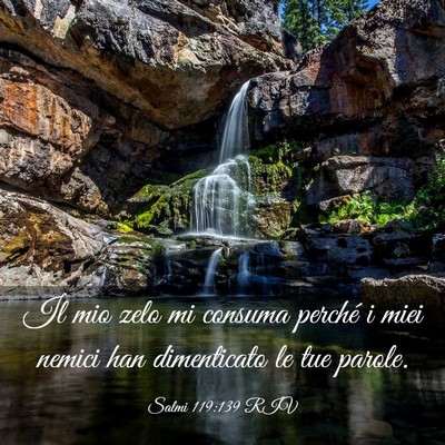 Picture 03 - Salmi 119:139 RIV - Il mio zelo mi consuma perché i miei nemici han - Bible Verse Picture