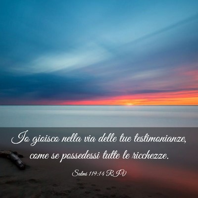Picture 03 - Salmi 119:14 RIV - Io gioisco nella via delle tue testimonianze, - Bible Verse Picture